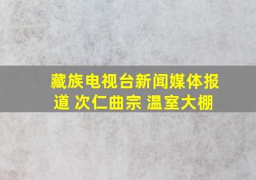 藏族电视台新闻媒体报道 次仁曲宗 温室大棚